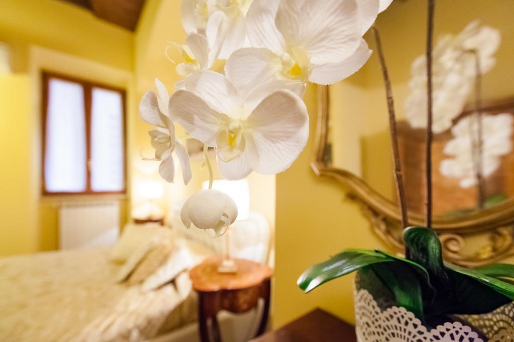 Impero Vaticano Navona Apartment Рим Екстериор снимка